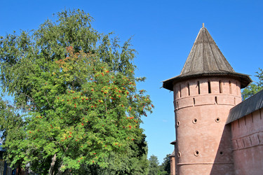 Similar image 1219123