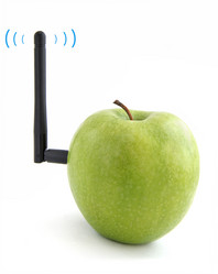 Similar image 1219200