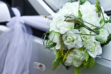 Similar image 1219232