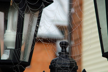 Similar image 1219259