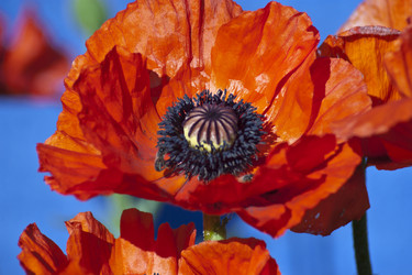 Similar image 1219262