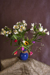 Similar image 1219265