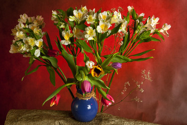 Similar image 1219266