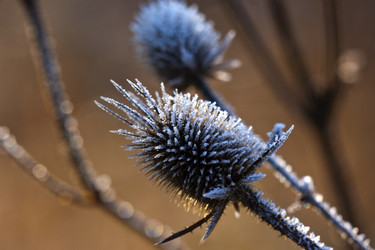 Similar image 1219269