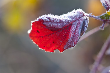 Similar image 1219271