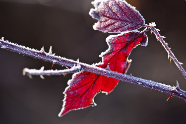 Similar image 1219272