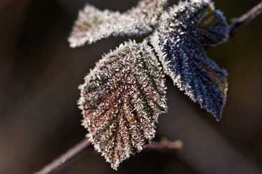 Similar image 1219273