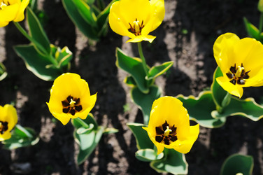 Similar image 1219341