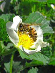 Similar image 1219348