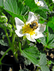 Similar image 1219349