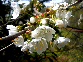 Similar image 1219399