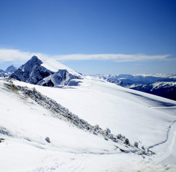 Similar image 1219400