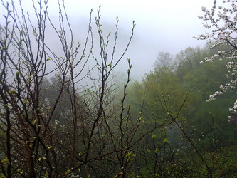 Similar image 1219412