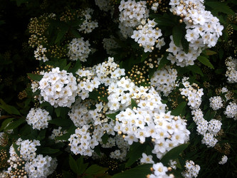 Similar image 1219415