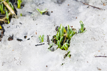 Similar image 1219438