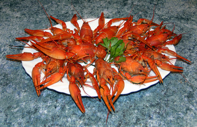 Similar image 1219446