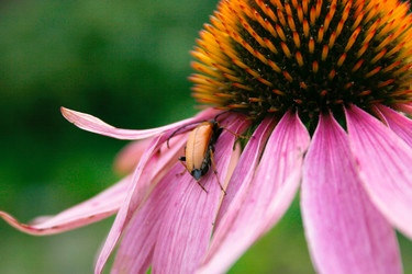 Similar image 1219449