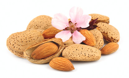 Similar image 1219487