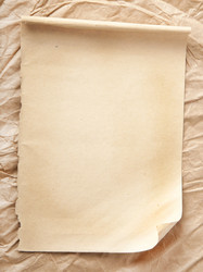 Similar image 1219504