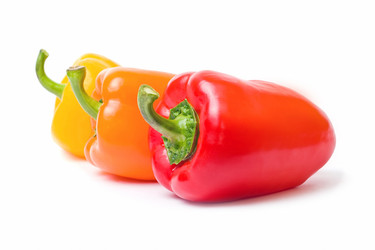 Similar image 1219568