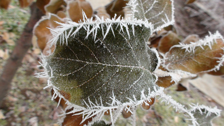 Similar image 1219577