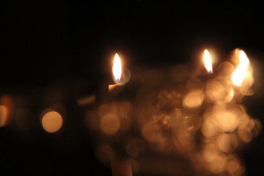 Similar image 1219603