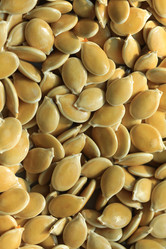 Similar image 1219617