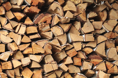 Similar image 1219618