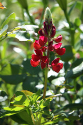 Similar image 1219619