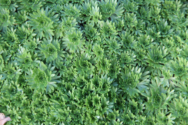 Similar image 1219622