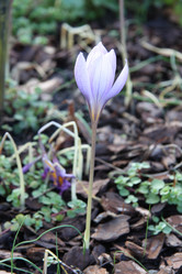 Similar image 1219623