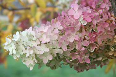 Similar image 1219624