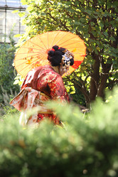 Similar image 1219625