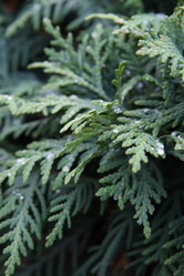 Similar image 1219628