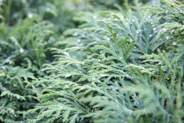 Similar image 1219629