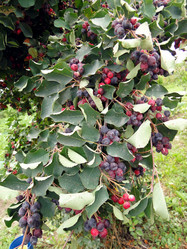 Similar image 1219661