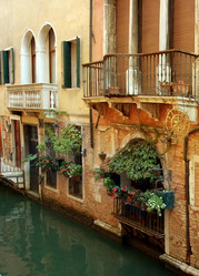 Similar image 1219662