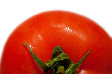 Similar image 1219686