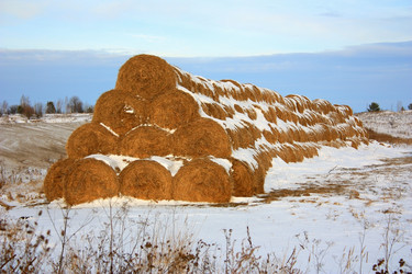 Similar image 1219688