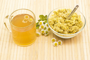 Similar image 1219709