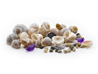 Similar image 1219714