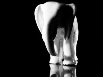 Similar image 1219724