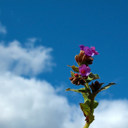 Similar image 1219730