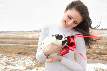 Similar image 1219754