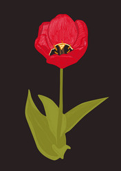 Similar image 1219792