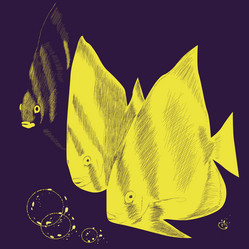 Similar image 1219801