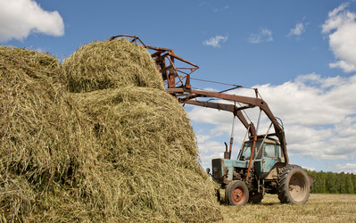 Similar image 1219803