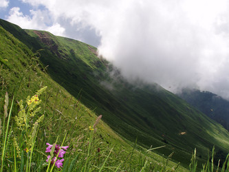 Similar image 1219818