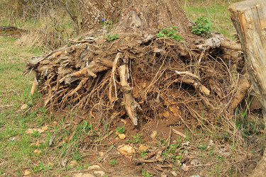 Similar image 1219832