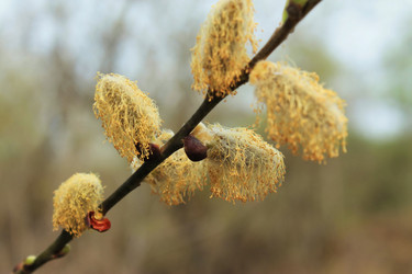 Similar image 1219833